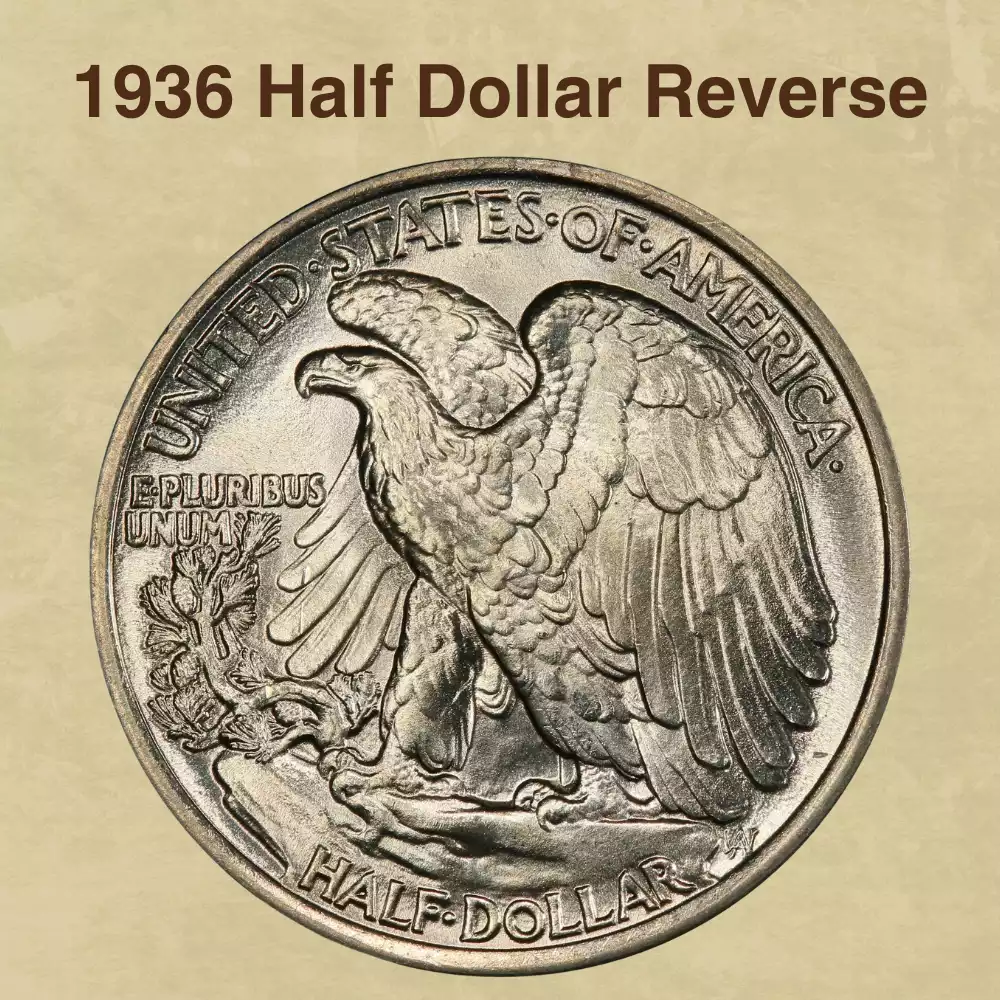 The Reverse of the 1936 Half Dollar