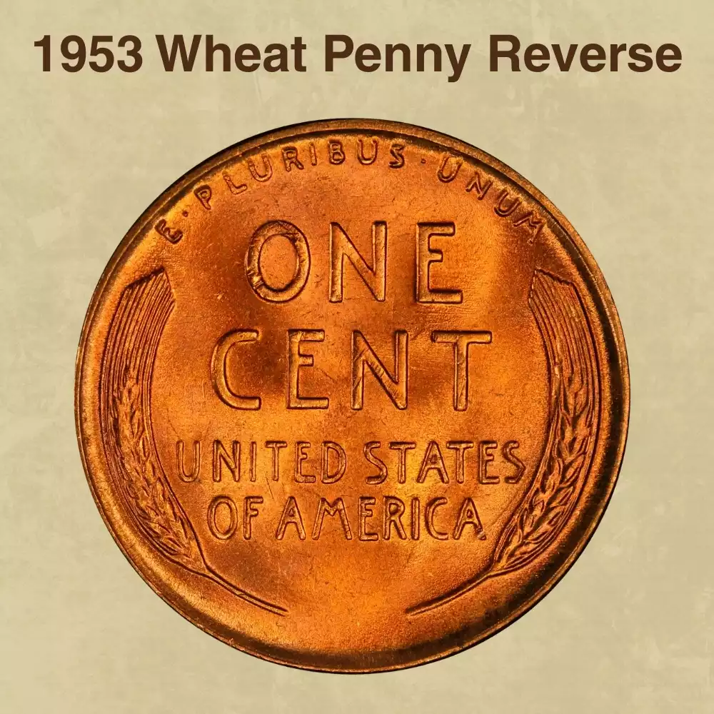 The Reverse of the 1953 Wheat Penny