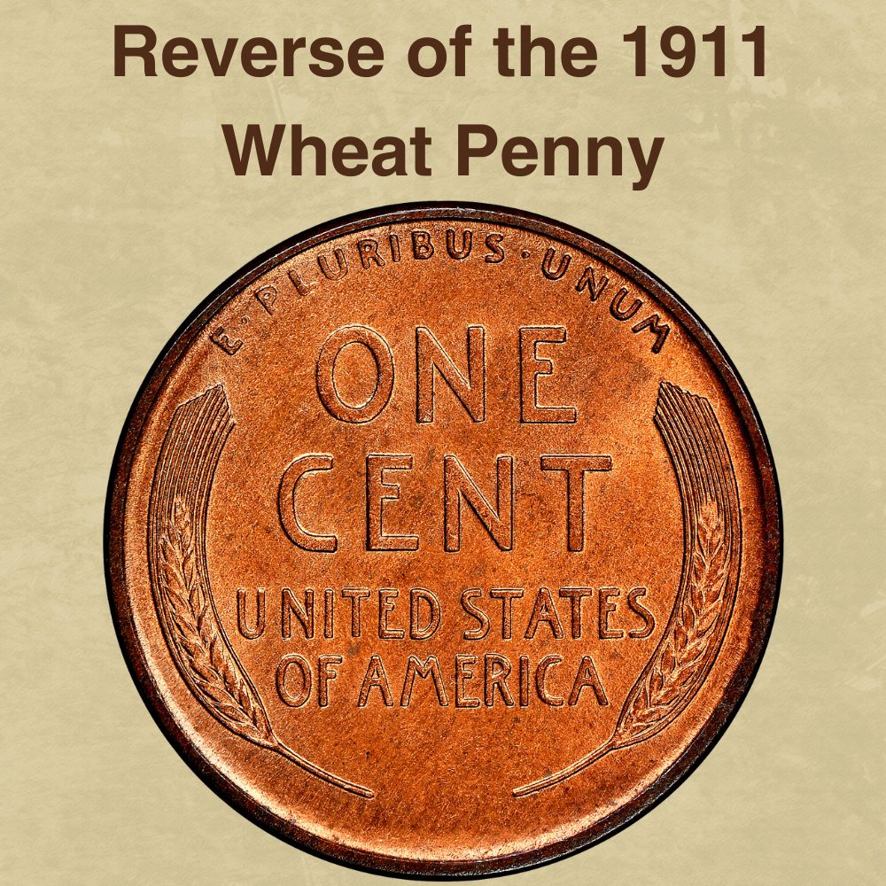 The reverse of the 1911 Wheat Penny