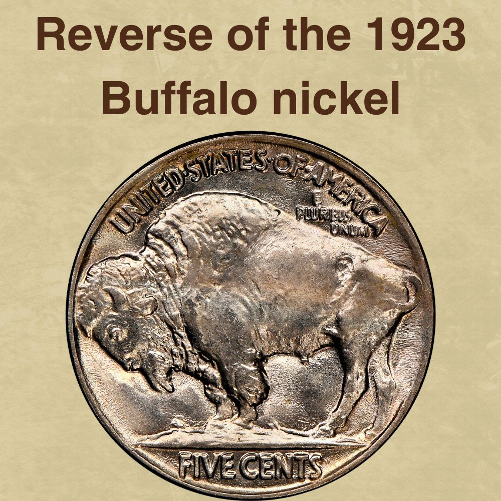 The reverse of the 1923 Buffalo nickel