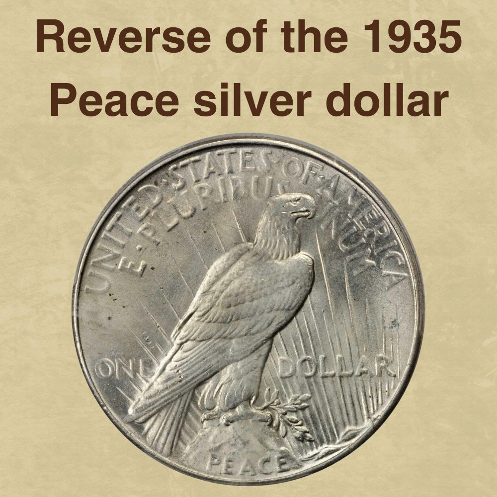The reverse of the 1935 Peace silver dollar