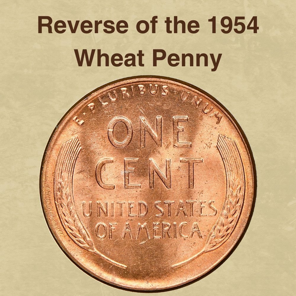 The reverse of the 1954 Wheat Penny