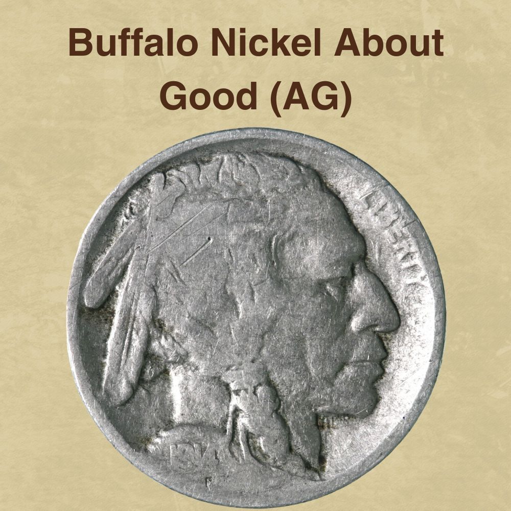 Grading Buffalo Nickels  How to Video-Images-Descriptions