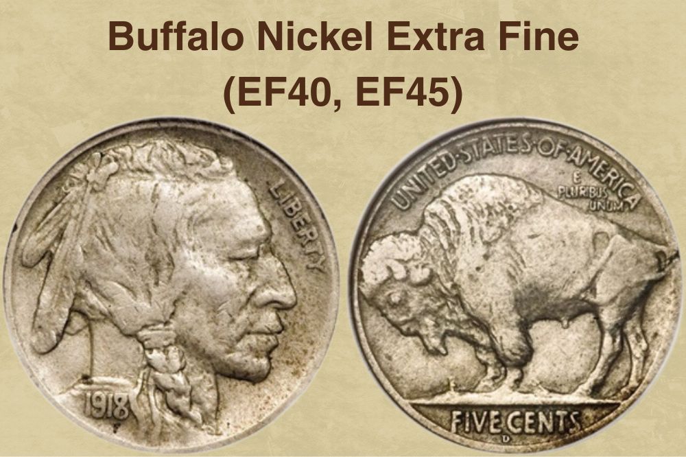 Buffalo Nickel Extra Fine (EF40, EF45)