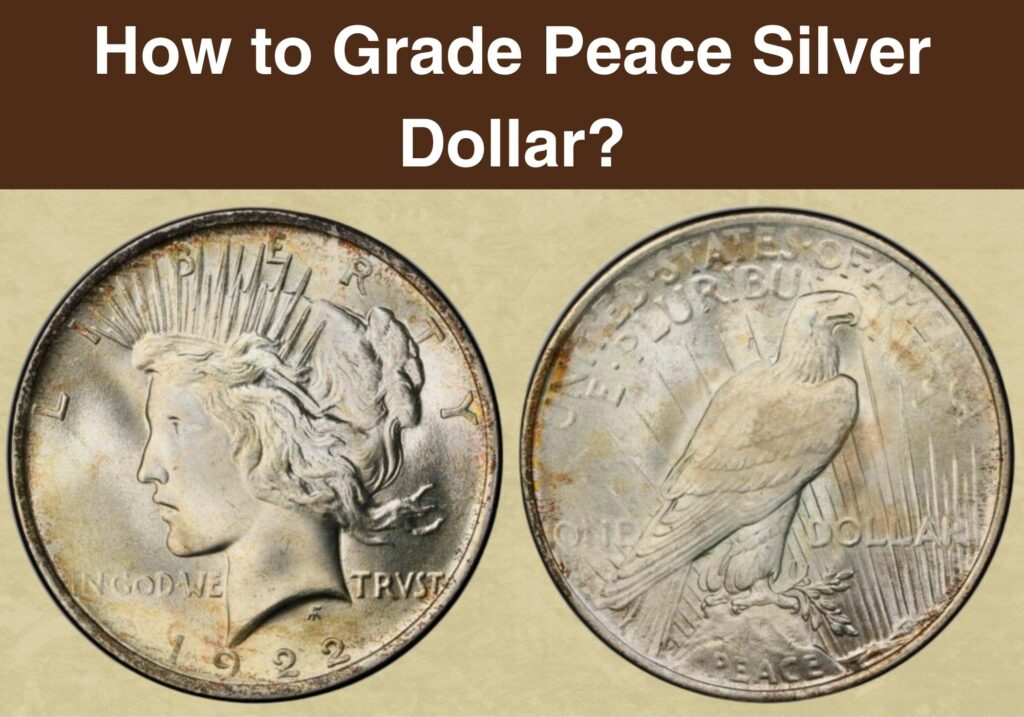 Silver Dollar Coin Value Checker How Much Is a Silver Dollar Worth