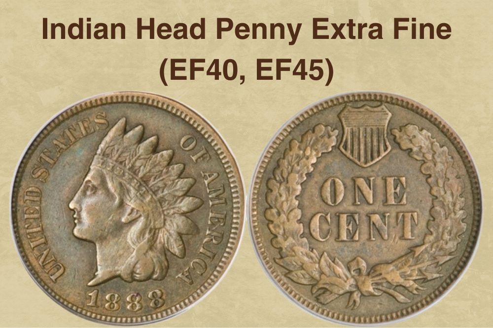 Indian Head Penny Extra Fine (EF40, EF45)