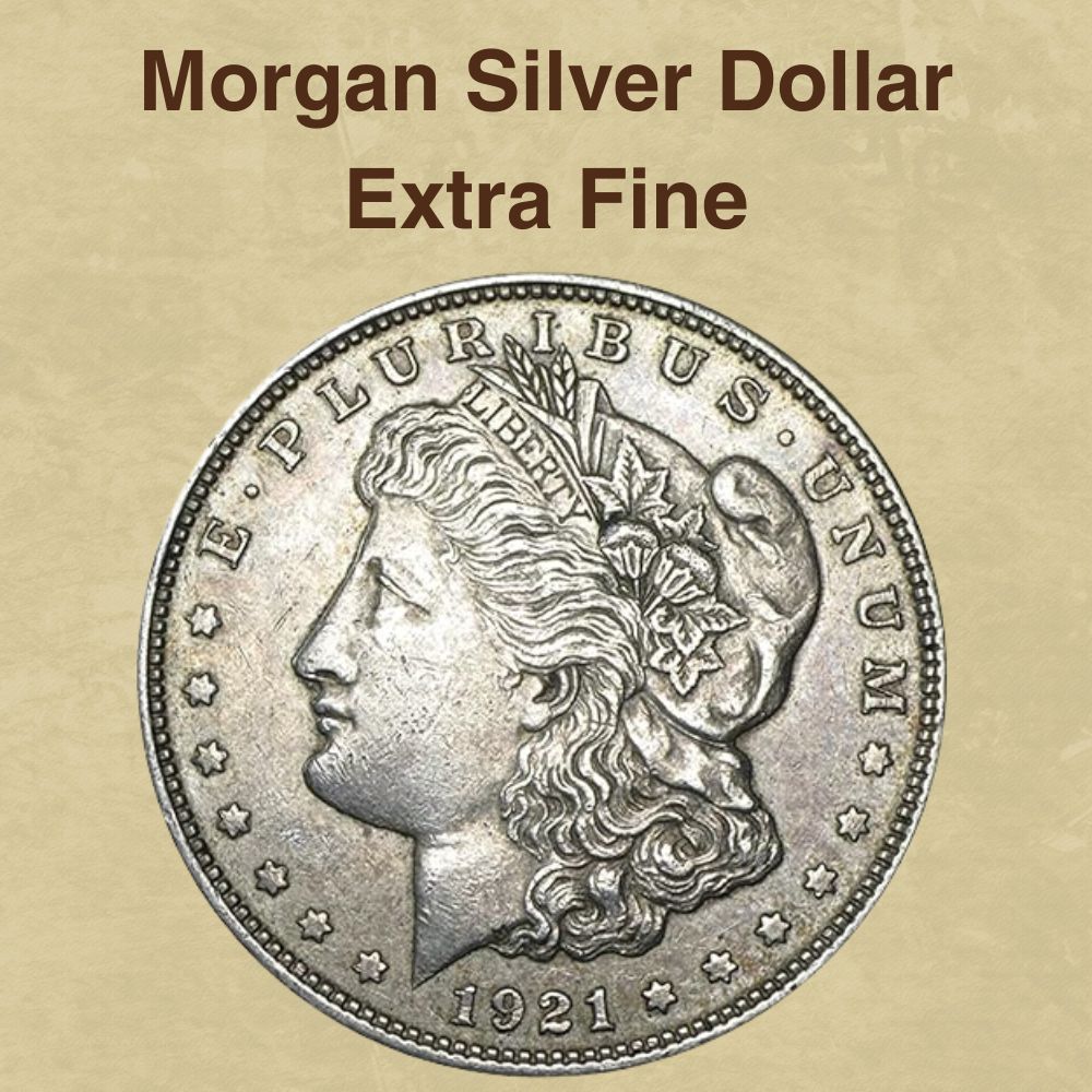 Morgan Silver Dollar Extra Fine