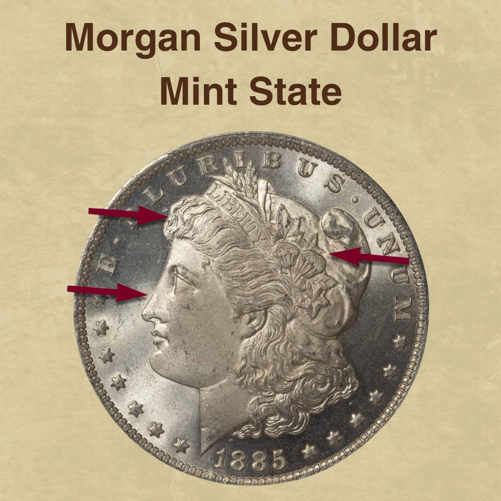 Morgan Silver Dollar Mint State