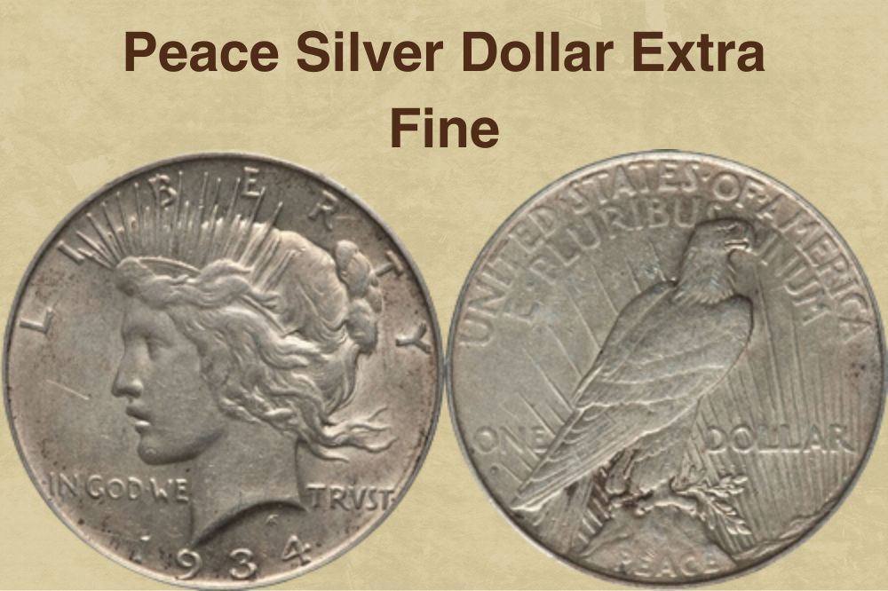 Peace Silver Dollar Extra Fine