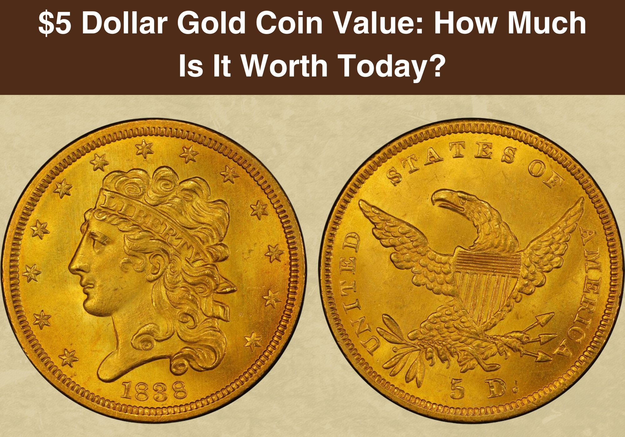 $5 Dollar Gold Coin Value How Much Is It Worth Today