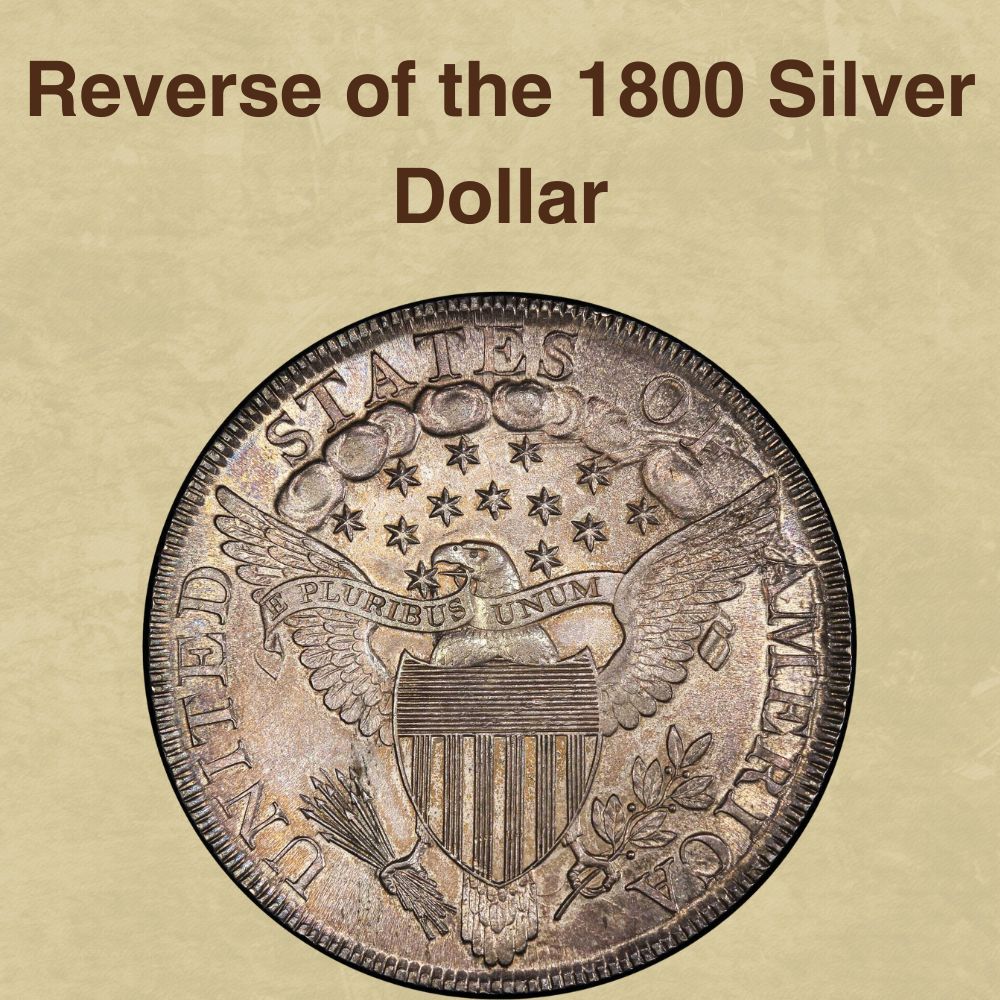 Reverse of the 1800 Silver Dollar