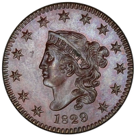 1829 Bronzed Est. 10 known